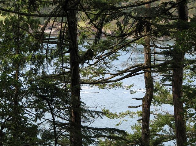 IMG_6252 Water as seen through the trees