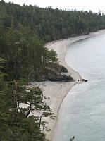 IMG_6233 The beach and trees as seen from the bridge