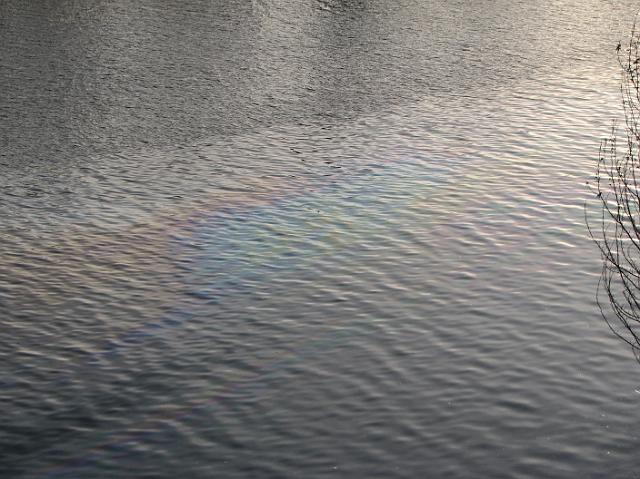 IMG_1040 Oil on the surface of the water near the Fremont Bridge