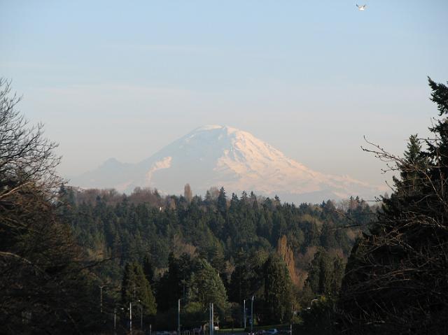 IMG_1147 The mountain from UW.  So awesome.