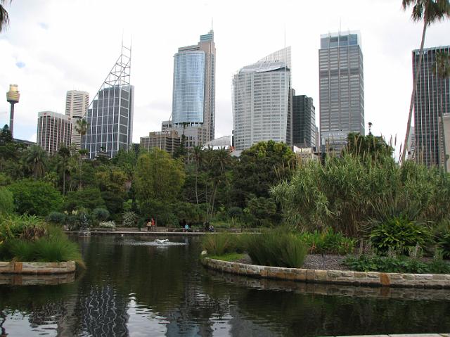 IMG_7898 Pond in the Royal Botanic Gardens