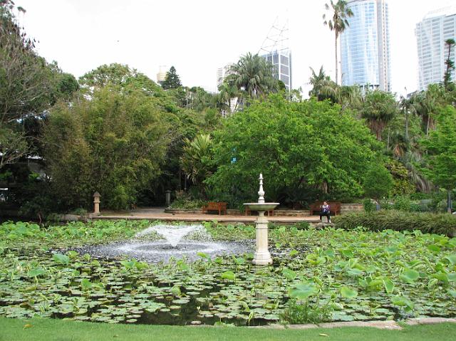 IMG_7908 Pond with lily pads in the gardens