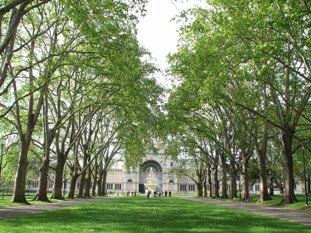 IMG_7197 Tree lined path towards Royal Exhibition Hall