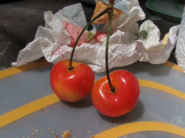 IMG_2536 Yummy Rainier cherries