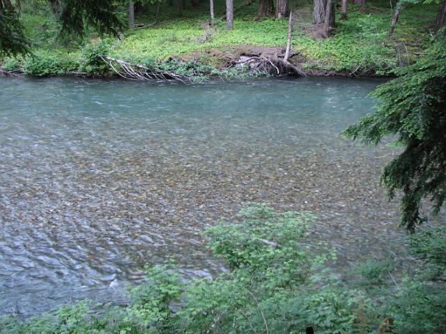 IMG_2698 Ohanapecosh River near the Grove of the Patriarchs trail