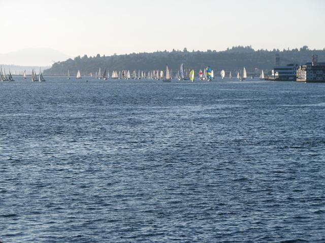 IMG_2707 Lots of sailboats on Elliott Bay