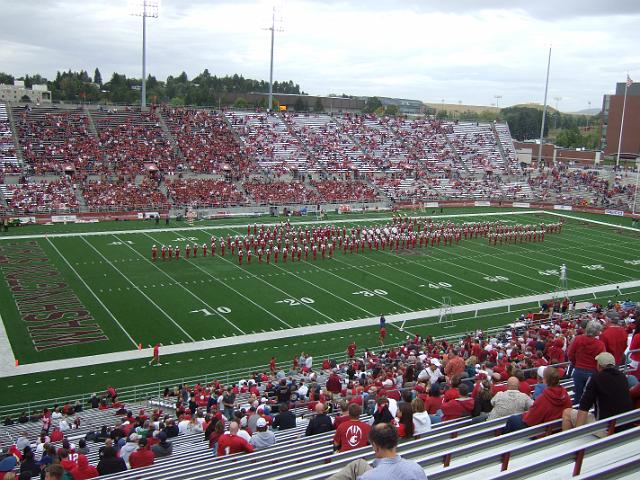 DSCF4271 Cougar band