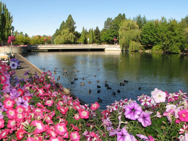 IMG_4854 Beautiful flowers and river in Riverfront Park