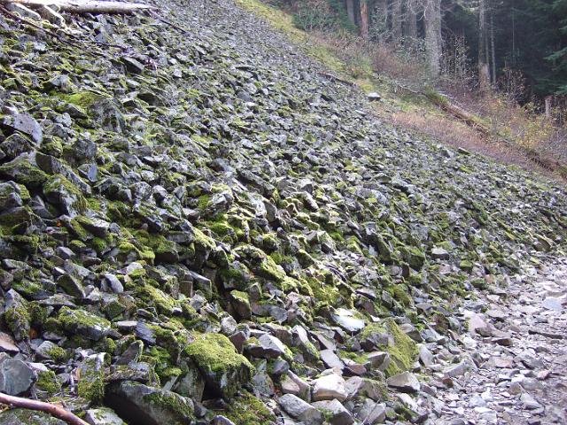 DSCF4784 Mossy rocks along trail