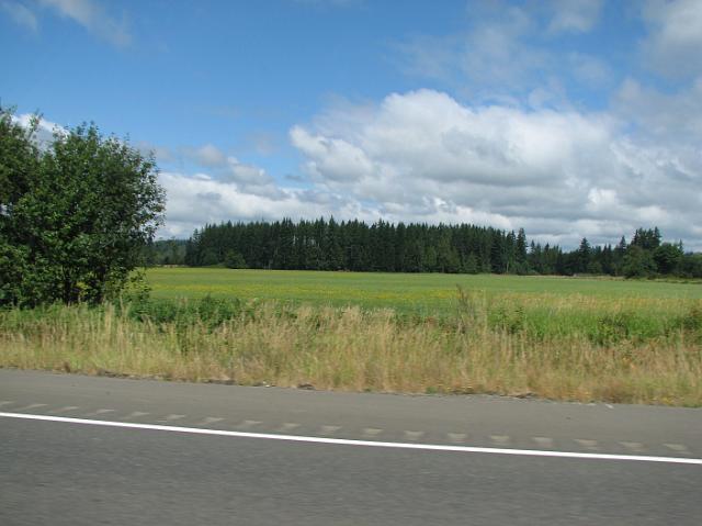 IMG_7494 A pretty field we drove by.