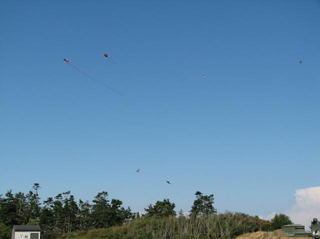 IMG_3541 Lots of kites flying at Fort Casey State Park