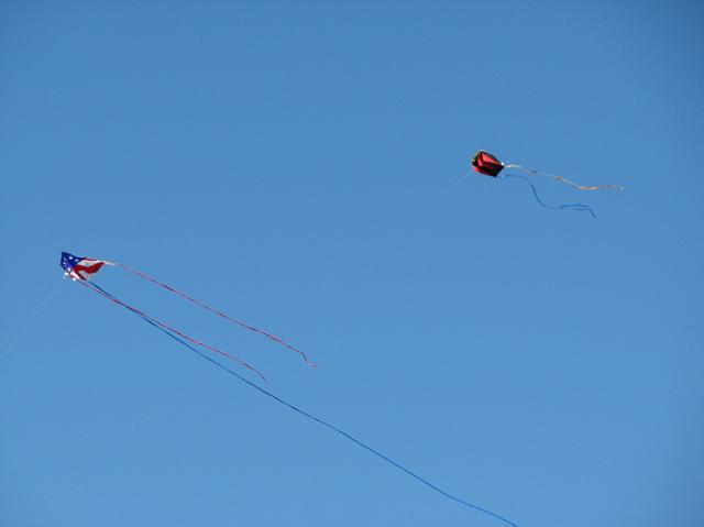 IMG_3548 Kites