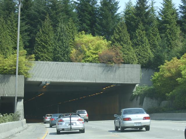 DSCF0781 We drove through a tunnel covered with a lot of trees