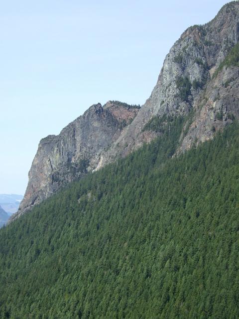 DSCF0879 Tons of trees on the side of Mount Si