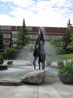 IMG_7402 A unique water sculpture at Seattle University.