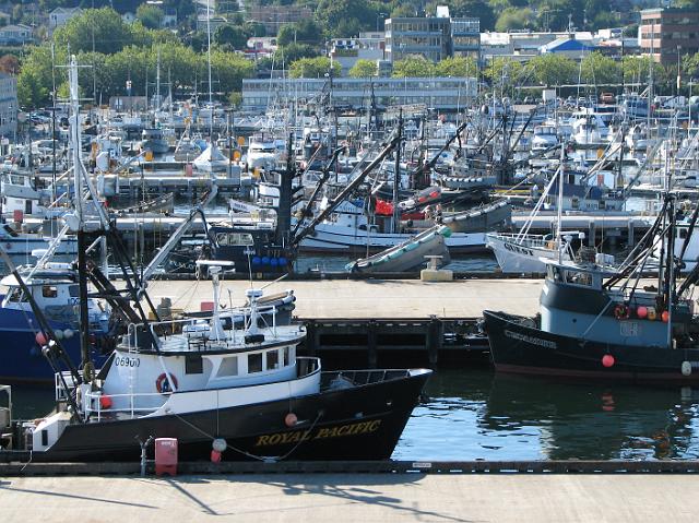 IMG_4637 Lots of boats in Fisherman's Terminal