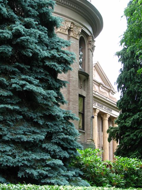 IMG_2466 Pine trees in front of church