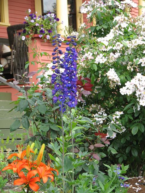 IMG_2481 Pretty flowers in front of a red porch