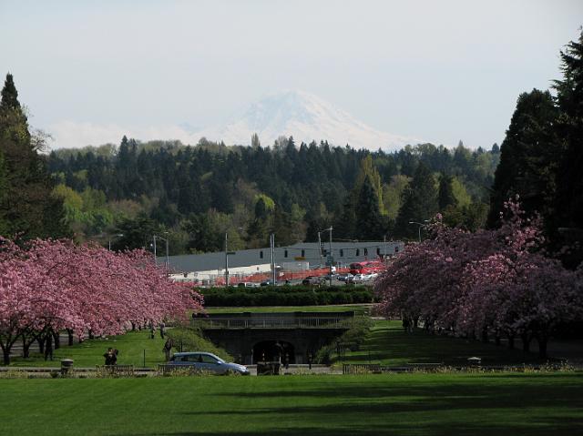 IMG_1515 View of Mount Rainier