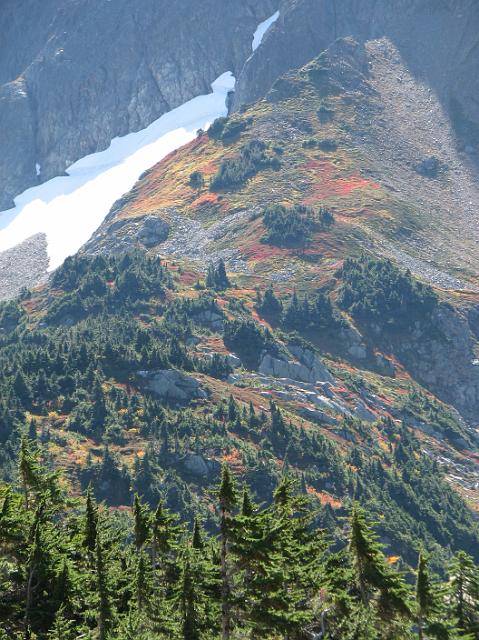 IMG_8498 Glacier and meadows