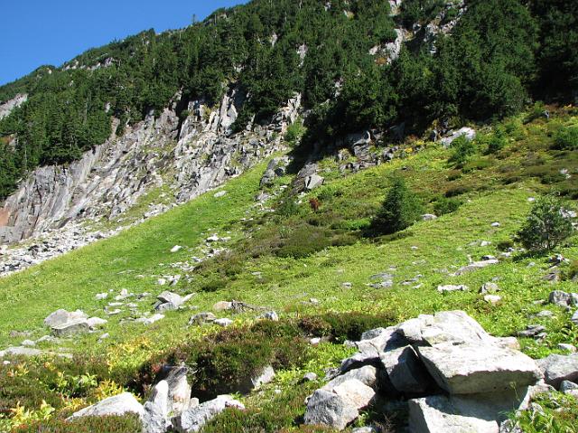 IMG_8501 Green meadow on hillside with rocks