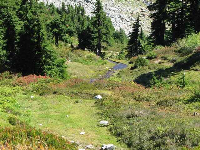 IMG_8537 The river in the valley below Cascade Pass