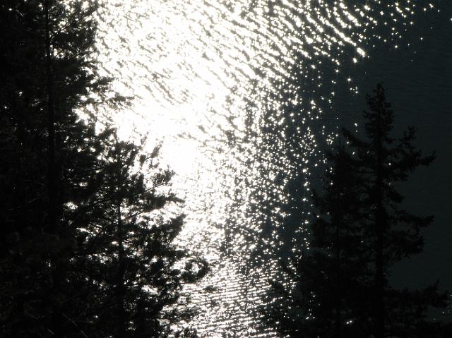 IMG_8624 Sunlight shimmering off the lake with trees on the left side