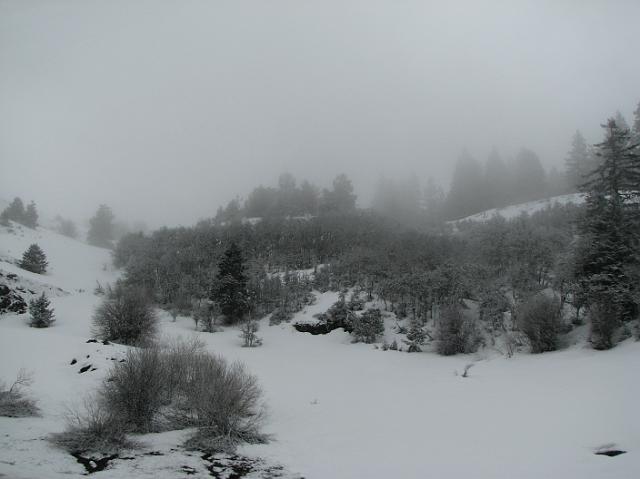 IMG_4501 Lots of snow and fog on the way to Ashland, OR.