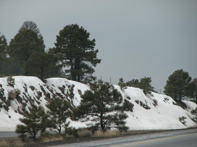 IMG_4035 Snow on the side of the road near Flagstaff, AZ.