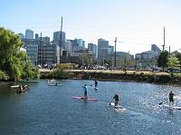 IMG_3936 Paddleboarders with the city in the background