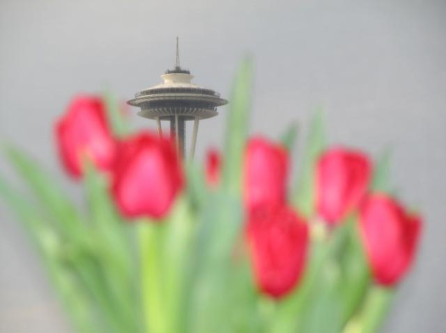 IMG_0429 Tulips and Space Needle