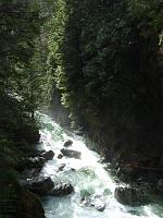 DSCF5856 Lynn Canyon in North Vancouver