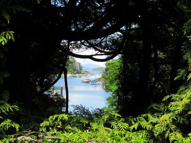 IMG_0968 Looking through the trees to the cove