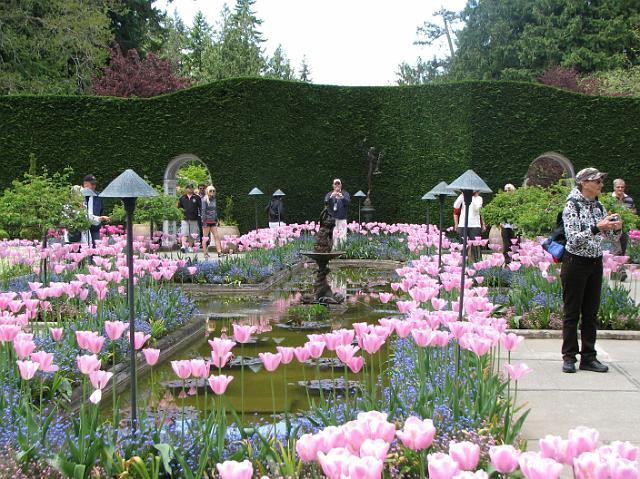 IMG_5469 Pink tulips around a fountain in the Italian garden