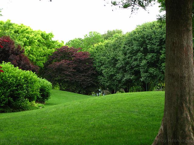 IMG_2443 Green field and trees near the conservatory.